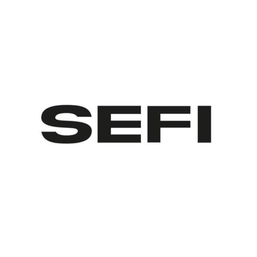 SEFI Logo
